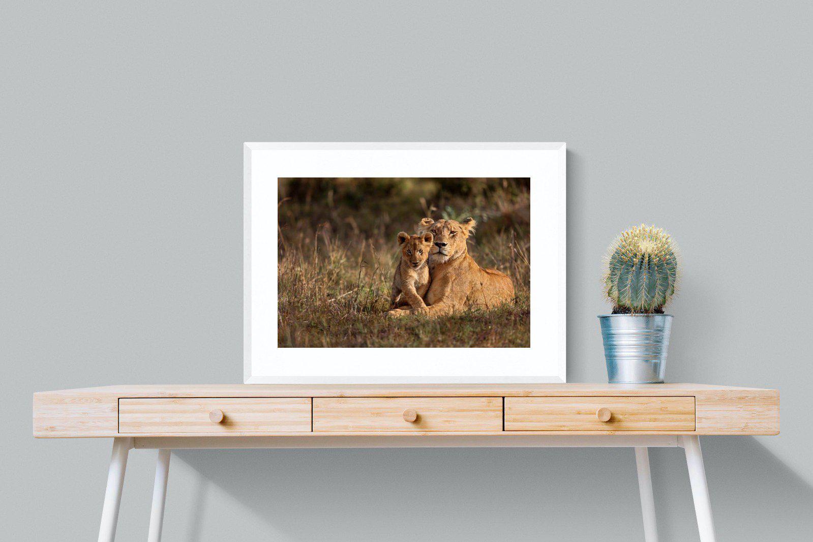 Lioness & Cub-Wall_Art-80 x 60cm-Framed Print-White-Pixalot
