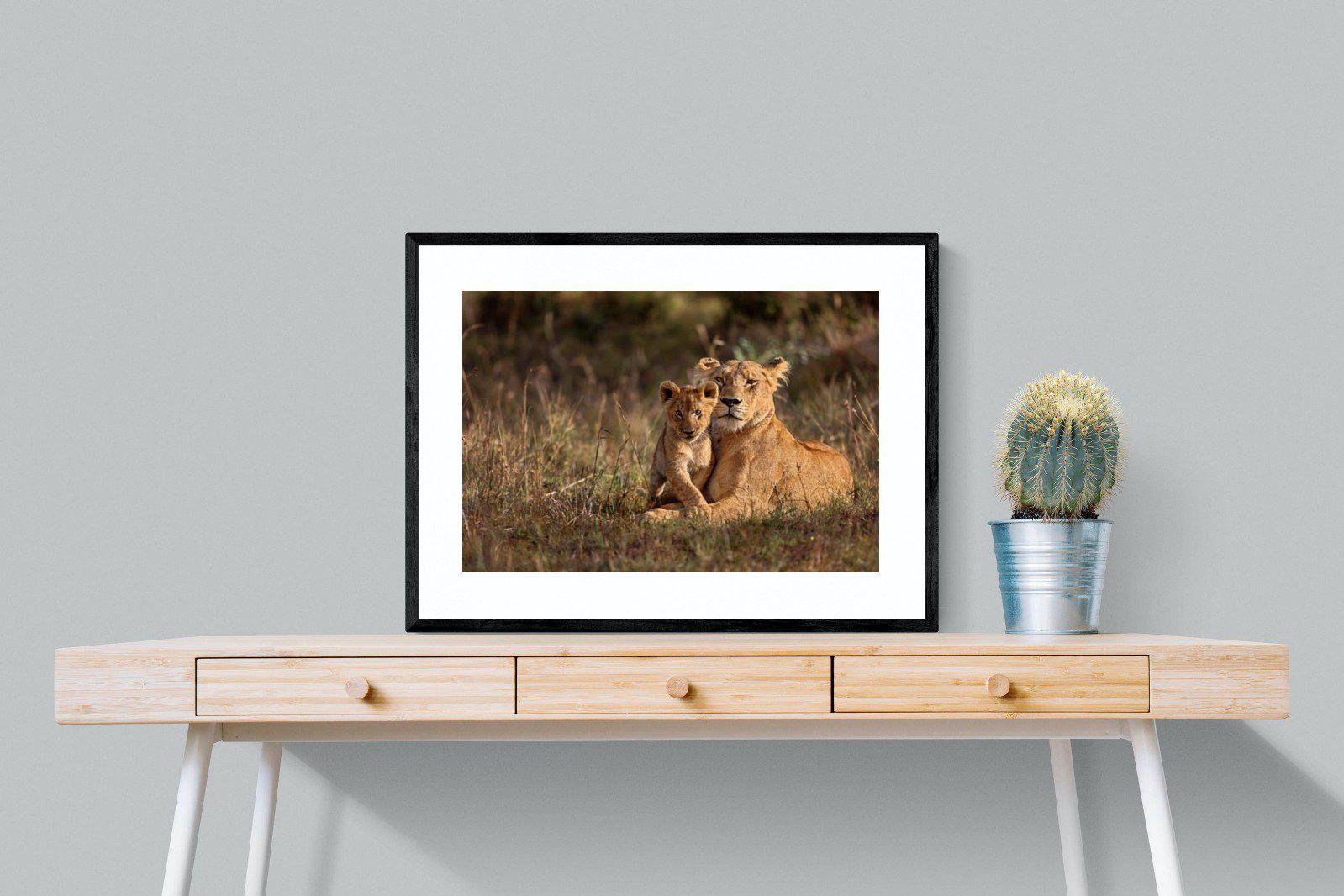 Lioness & Cub-Wall_Art-80 x 60cm-Framed Print-Black-Pixalot