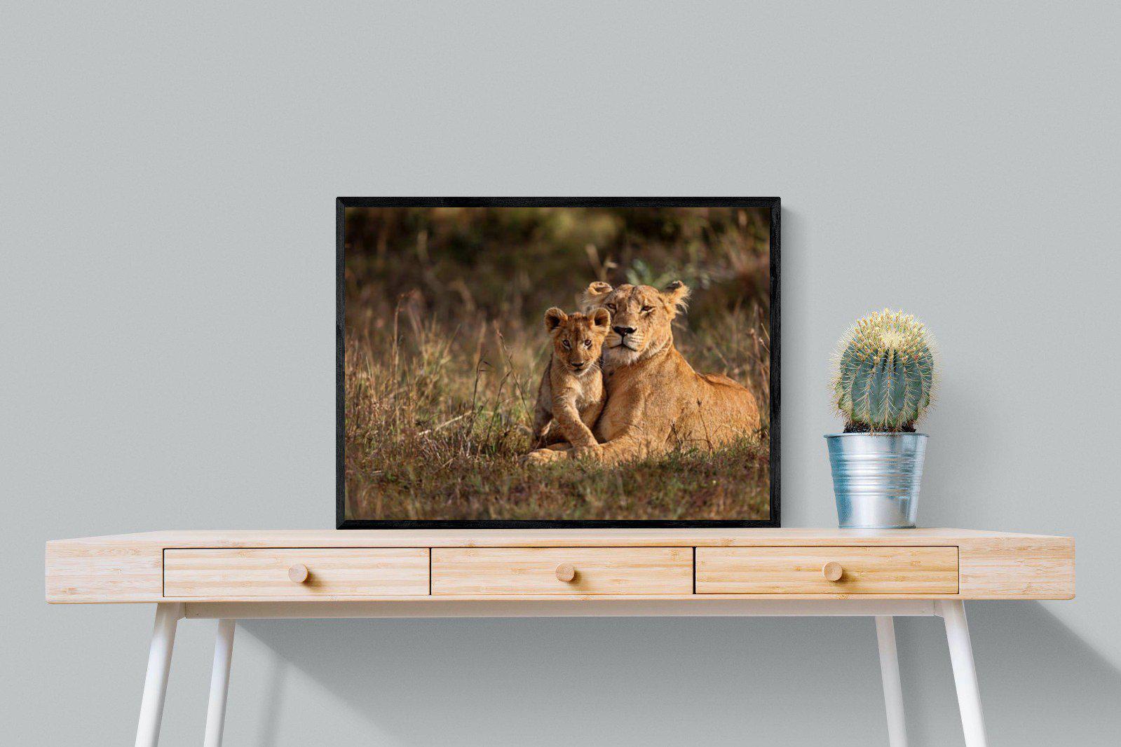 Lioness & Cub-Wall_Art-80 x 60cm-Mounted Canvas-Black-Pixalot