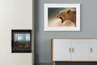 Lioness Roar-Wall_Art-100 x 75cm-Framed Print-White-Pixalot
