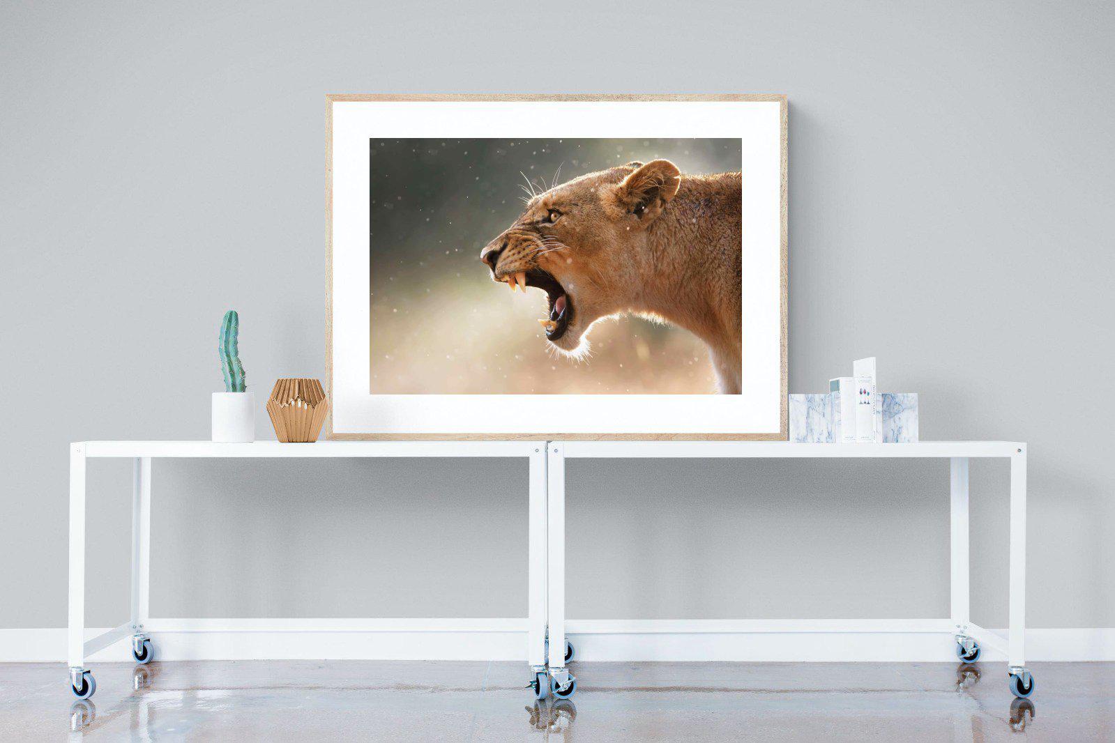 Lioness Roar-Wall_Art-120 x 90cm-Framed Print-Wood-Pixalot