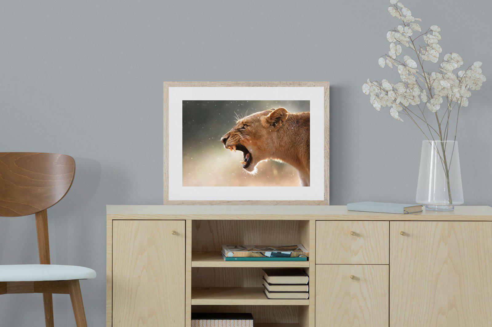 Lioness Roar-Wall_Art-60 x 45cm-Framed Print-Wood-Pixalot