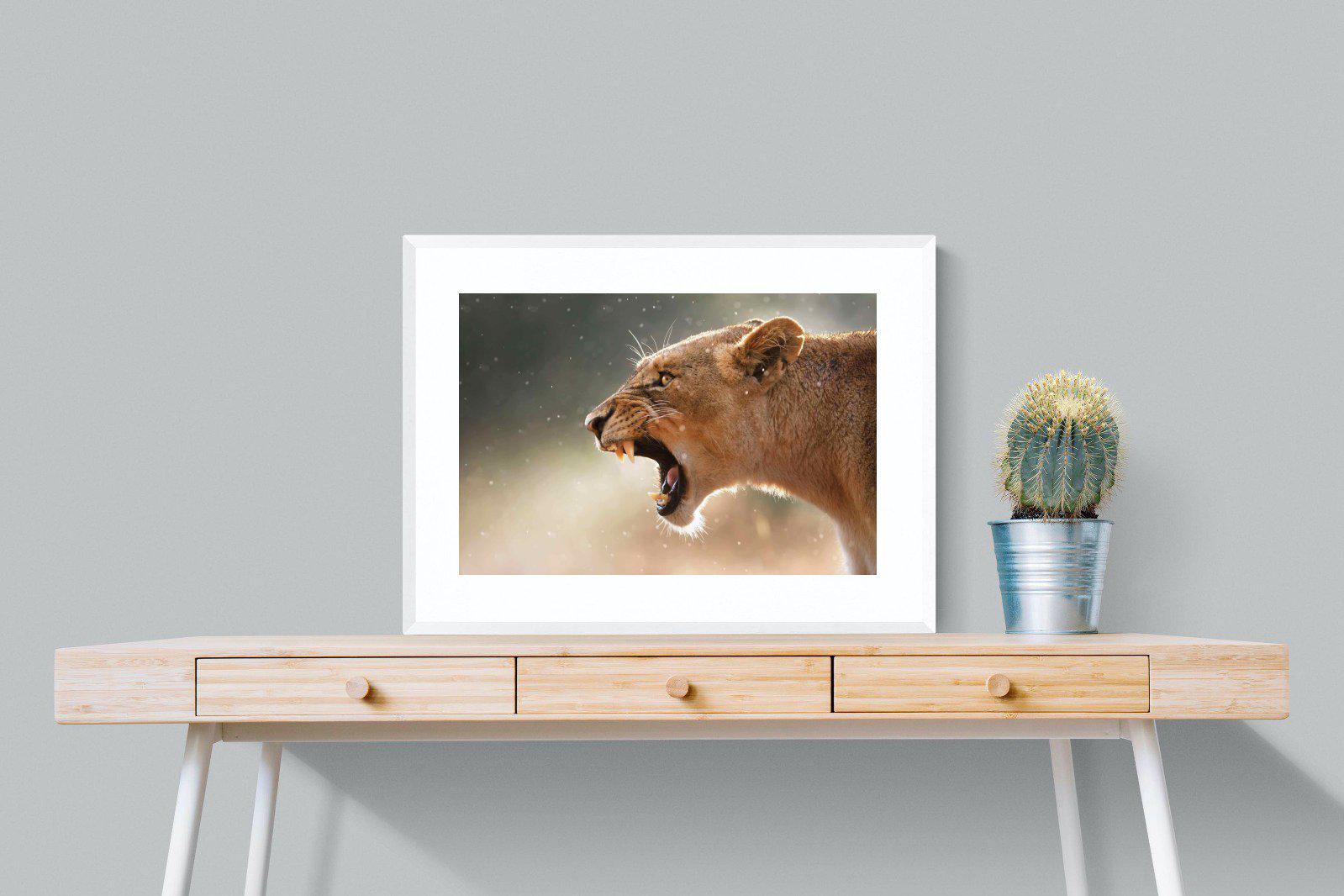 Lioness Roar-Wall_Art-80 x 60cm-Framed Print-White-Pixalot