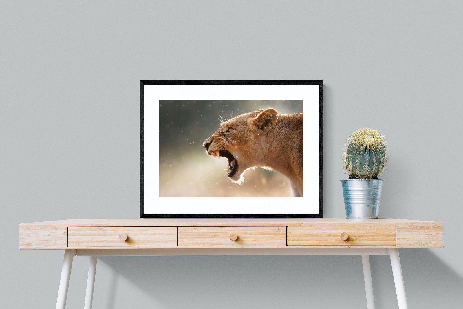 Lioness Roar-Wall_Art-80 x 60cm-Framed Print-Black-Pixalot
