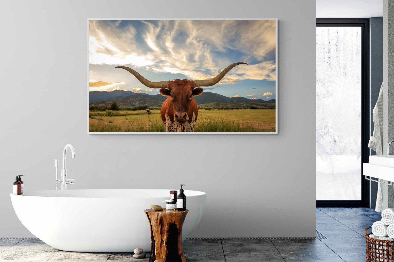 Long Horn-Wall_Art-180 x 110cm-Mounted Canvas-White-Pixalot