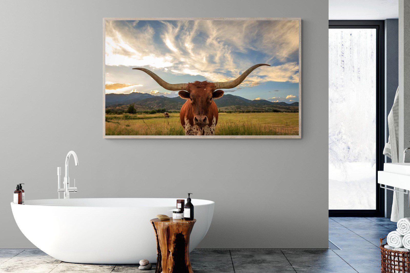 Long Horn-Wall_Art-180 x 110cm-Mounted Canvas-Wood-Pixalot