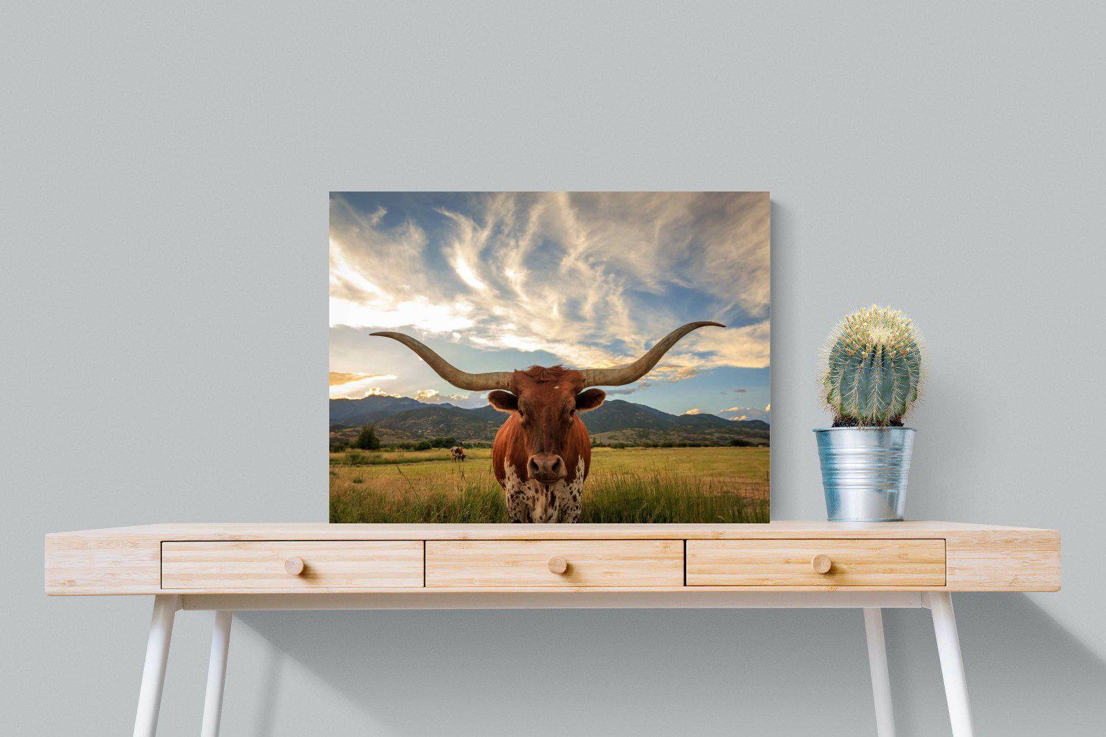 Long Horn-Wall_Art-80 x 60cm-Mounted Canvas-No Frame-Pixalot