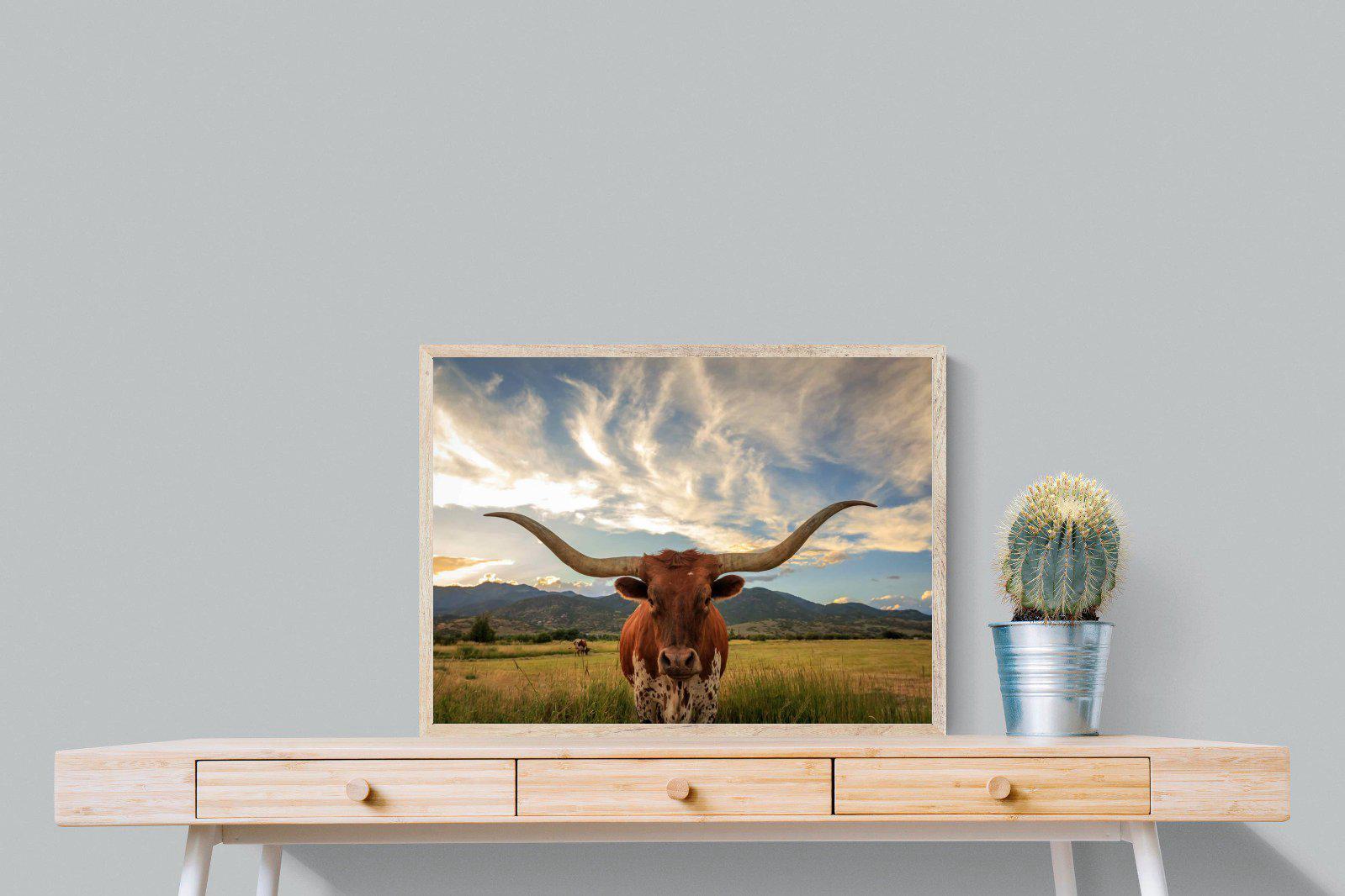 Long Horn-Wall_Art-80 x 60cm-Mounted Canvas-Wood-Pixalot