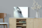 Mare-Wall_Art-60 x 45cm-Mounted Canvas-No Frame-Pixalot