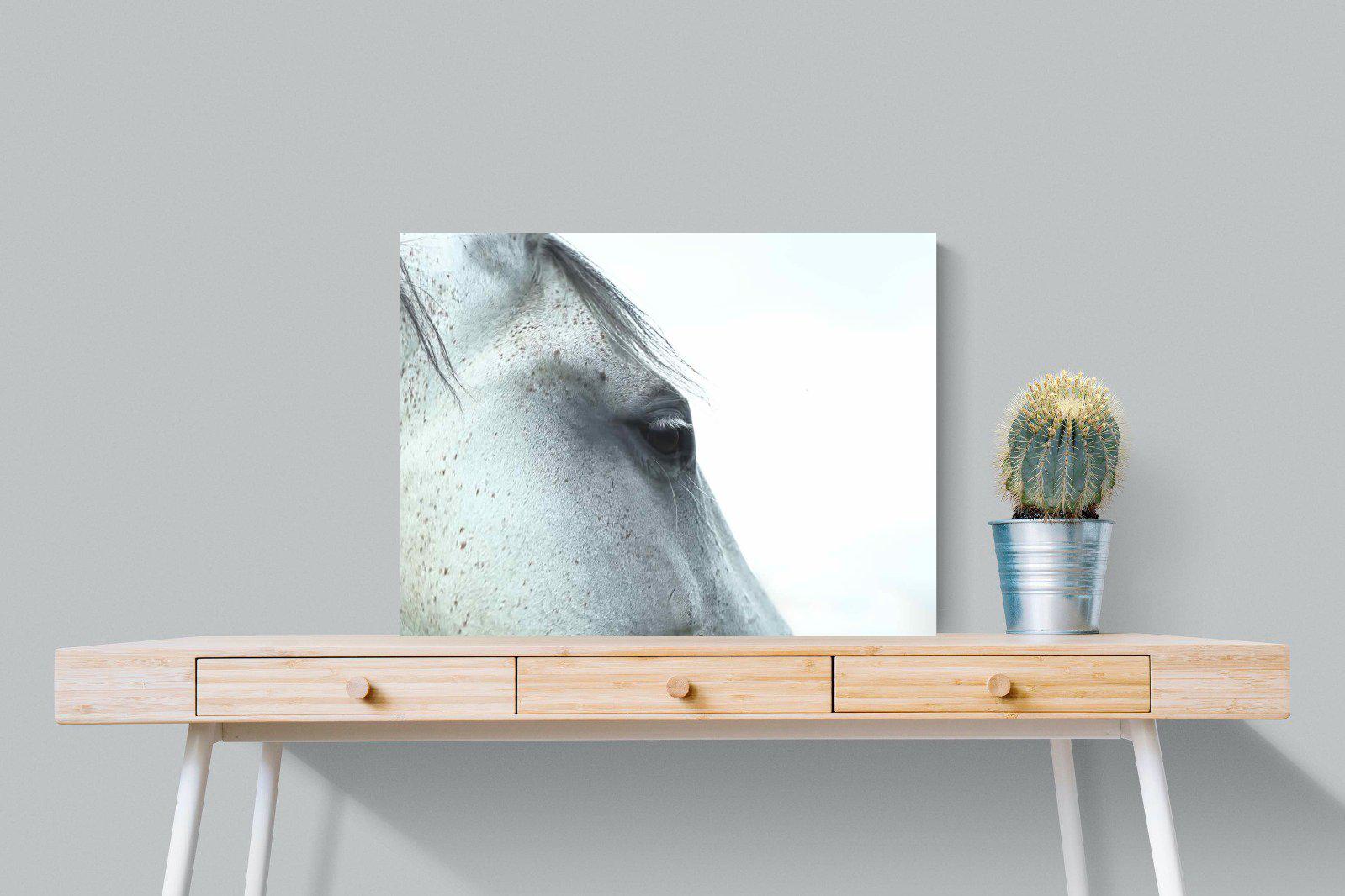 Mare-Wall_Art-80 x 60cm-Mounted Canvas-No Frame-Pixalot