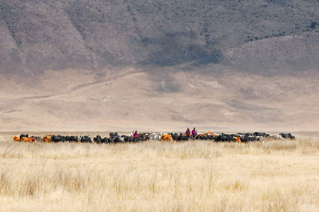 Masai Vista-Wall_Art-Pixalot