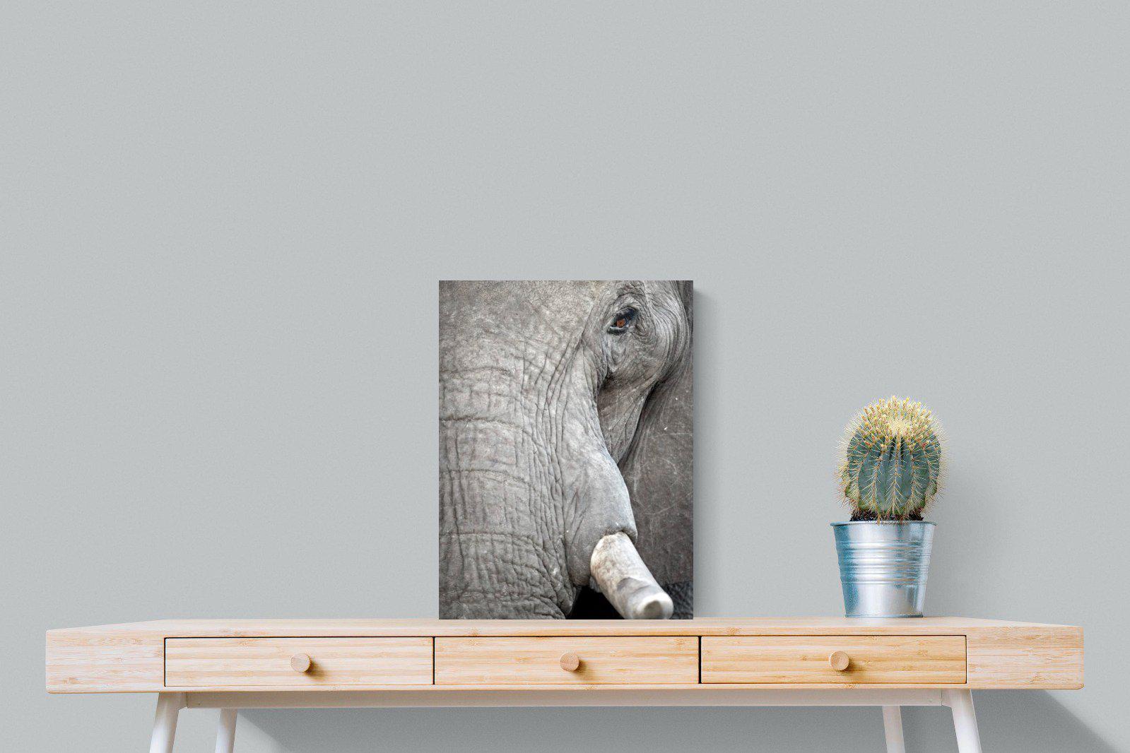 Matriarch-Wall_Art-45 x 60cm-Mounted Canvas-No Frame-Pixalot
