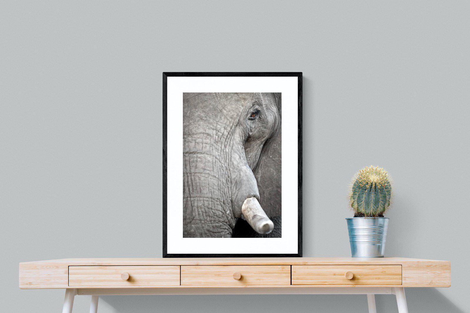 Matriarch-Wall_Art-60 x 80cm-Framed Print-Black-Pixalot