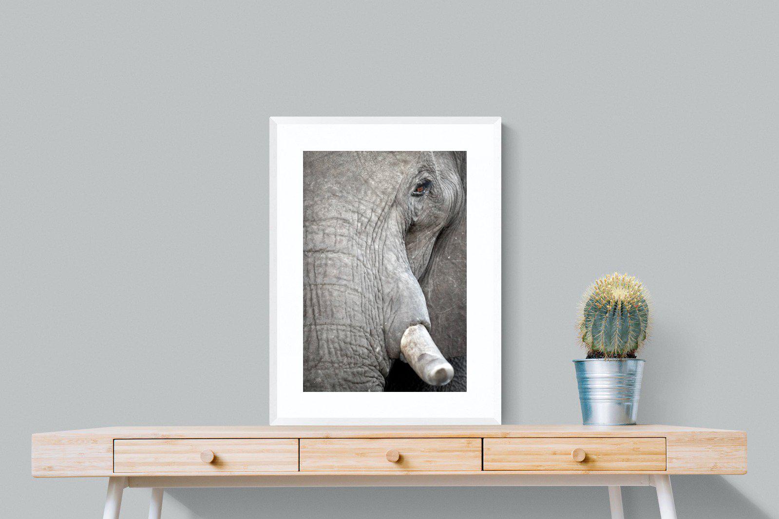 Matriarch-Wall_Art-60 x 80cm-Framed Print-White-Pixalot