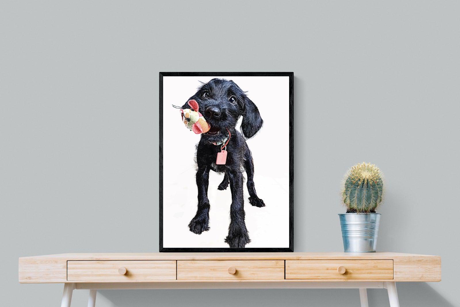 Mini Pup-Wall_Art-60 x 80cm-Mounted Canvas-Black-Pixalot
