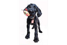 Mini Pup-Wall_Art-Pixalot