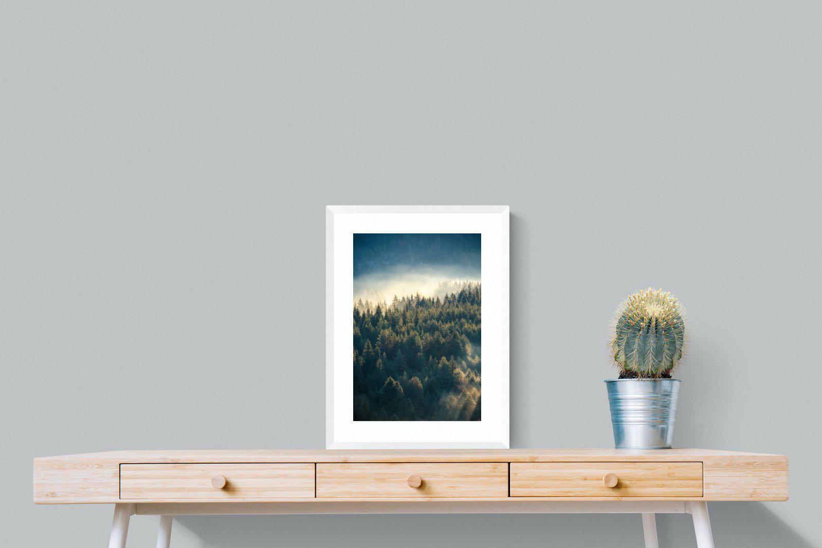 Misty Pine Forest-Wall_Art-45 x 60cm-Framed Print-White-Pixalot