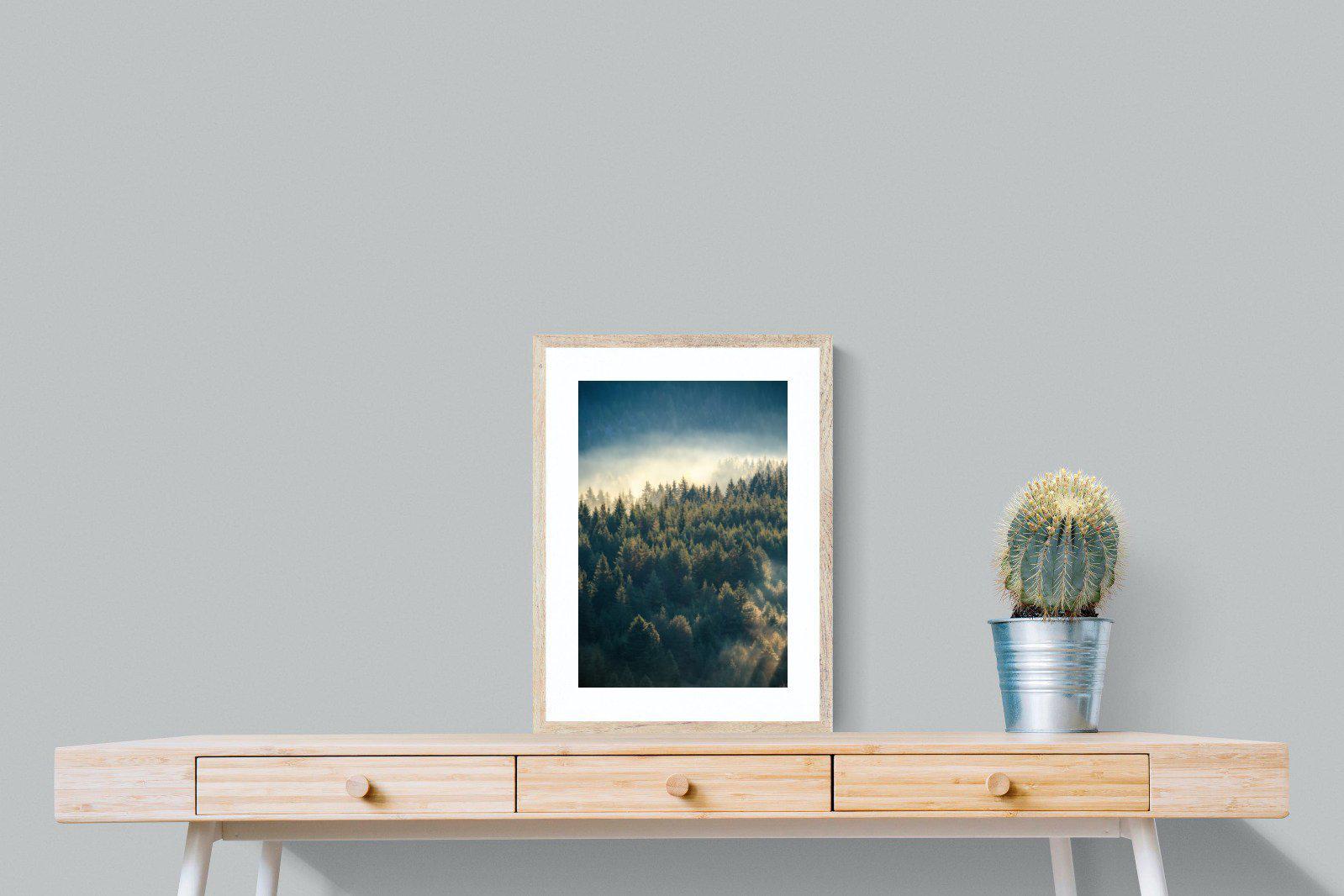 Misty Pine Forest-Wall_Art-45 x 60cm-Framed Print-Wood-Pixalot