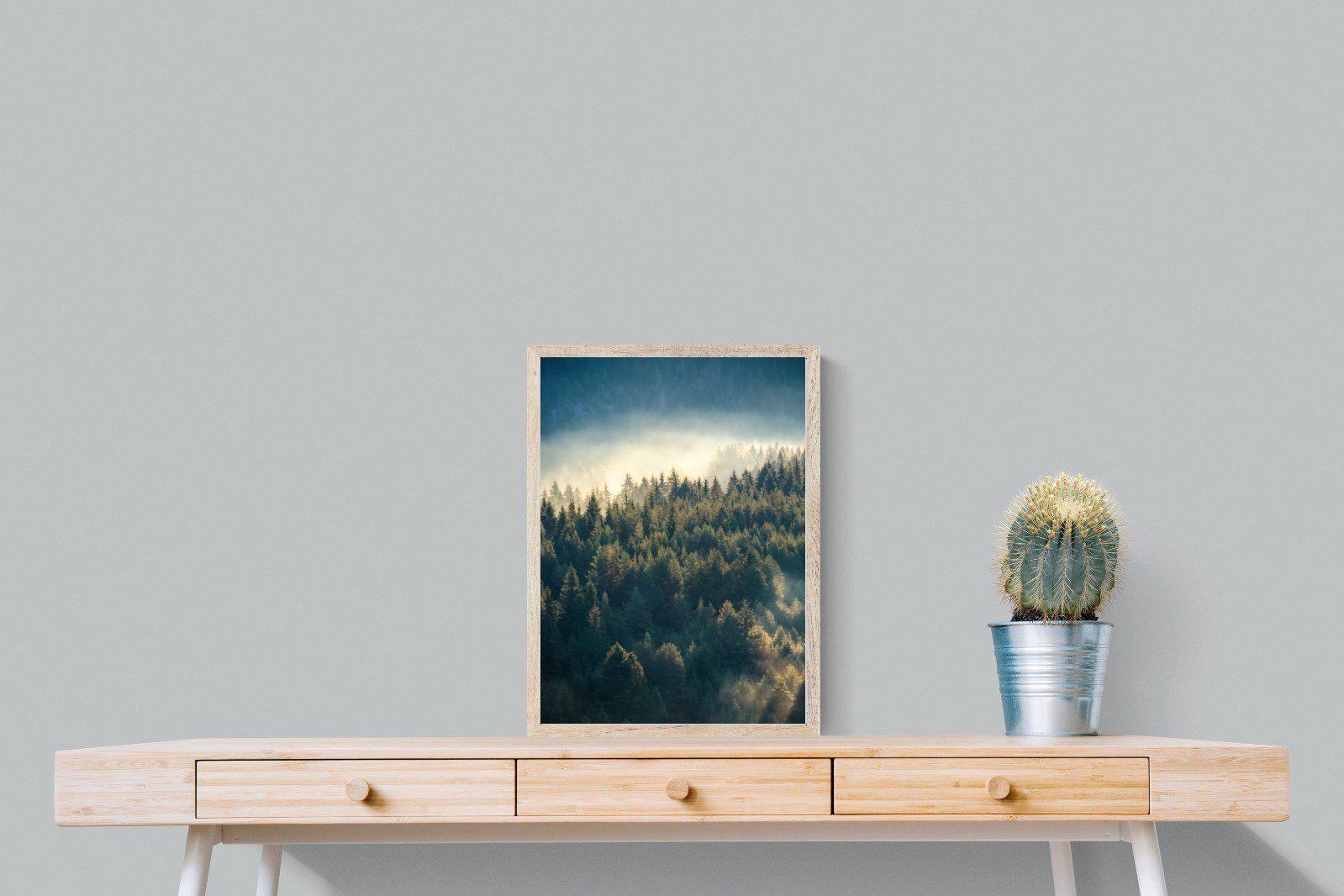 Misty Pine Forest-Wall_Art-45 x 60cm-Mounted Canvas-Wood-Pixalot