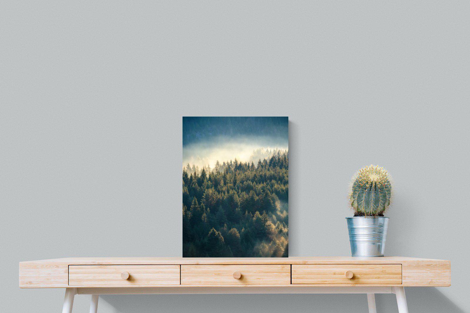 Misty Pine Forest-Wall_Art-45 x 60cm-Mounted Canvas-No Frame-Pixalot