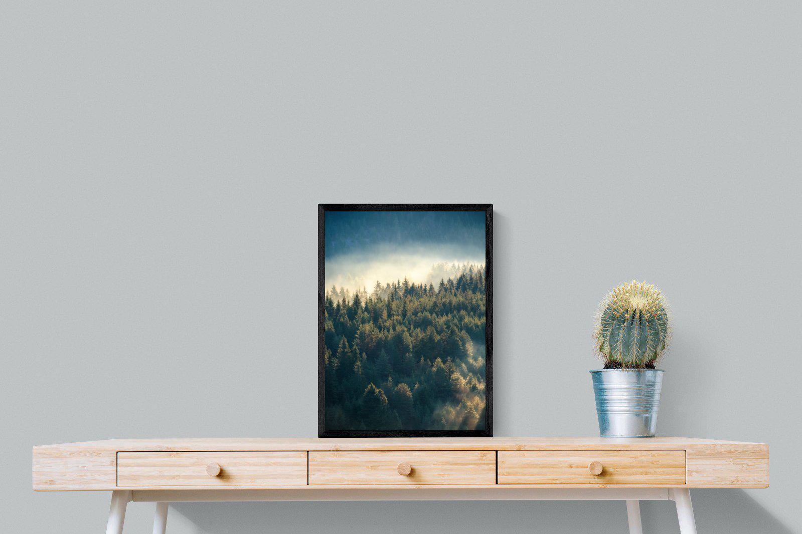 Misty Pine Forest-Wall_Art-45 x 60cm-Mounted Canvas-Black-Pixalot