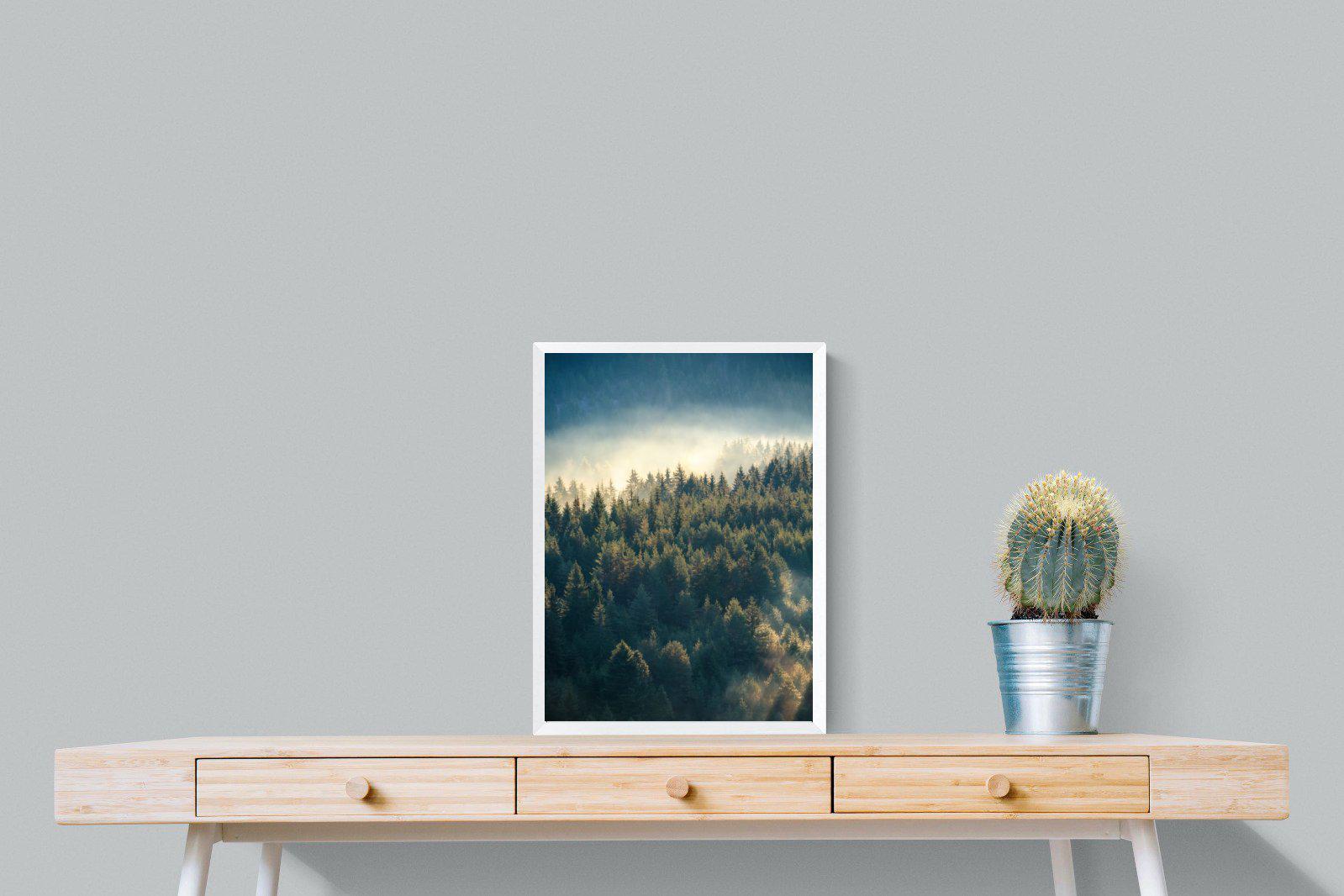 Misty Pine Forest-Wall_Art-45 x 60cm-Mounted Canvas-White-Pixalot