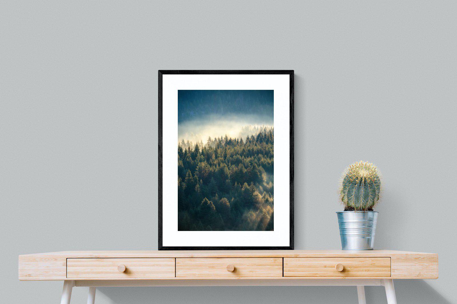 Misty Pine Forest-Wall_Art-60 x 80cm-Framed Print-Black-Pixalot