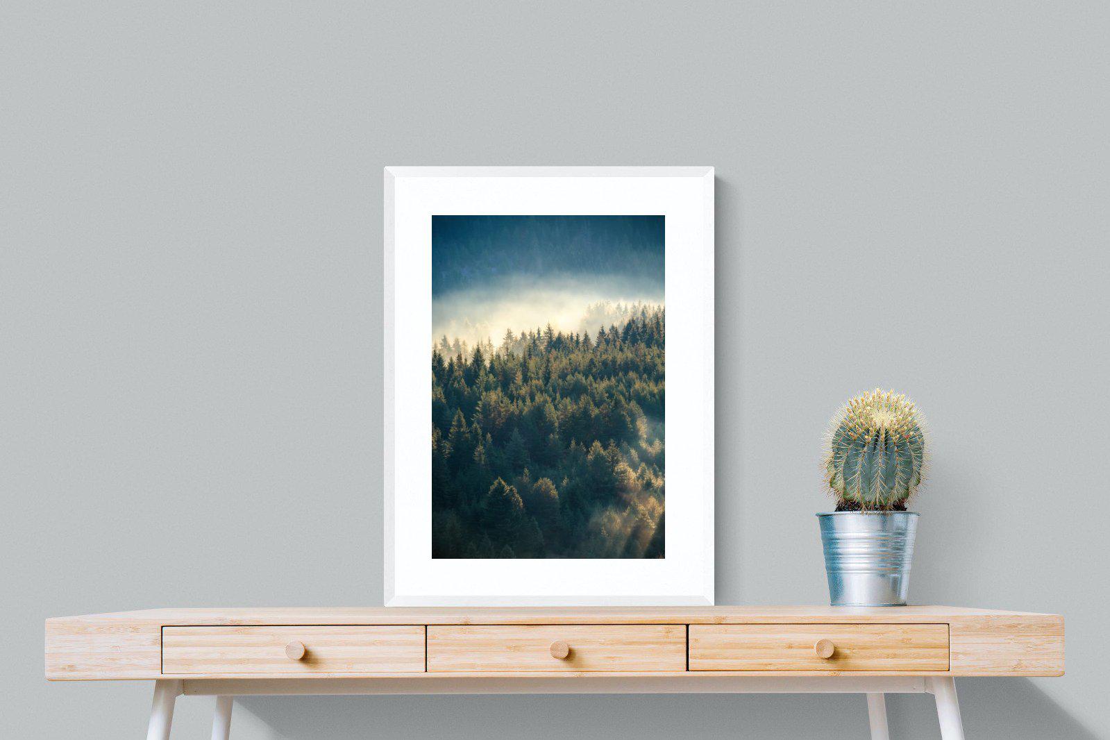 Misty Pine Forest-Wall_Art-60 x 80cm-Framed Print-White-Pixalot