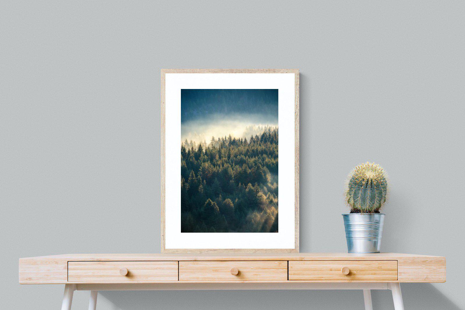 Misty Pine Forest-Wall_Art-60 x 80cm-Framed Print-Wood-Pixalot