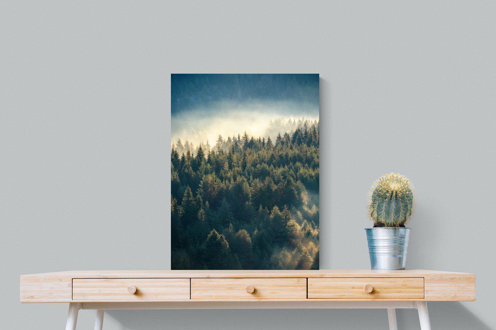 Misty Pine Forest-Wall_Art-60 x 80cm-Mounted Canvas-No Frame-Pixalot