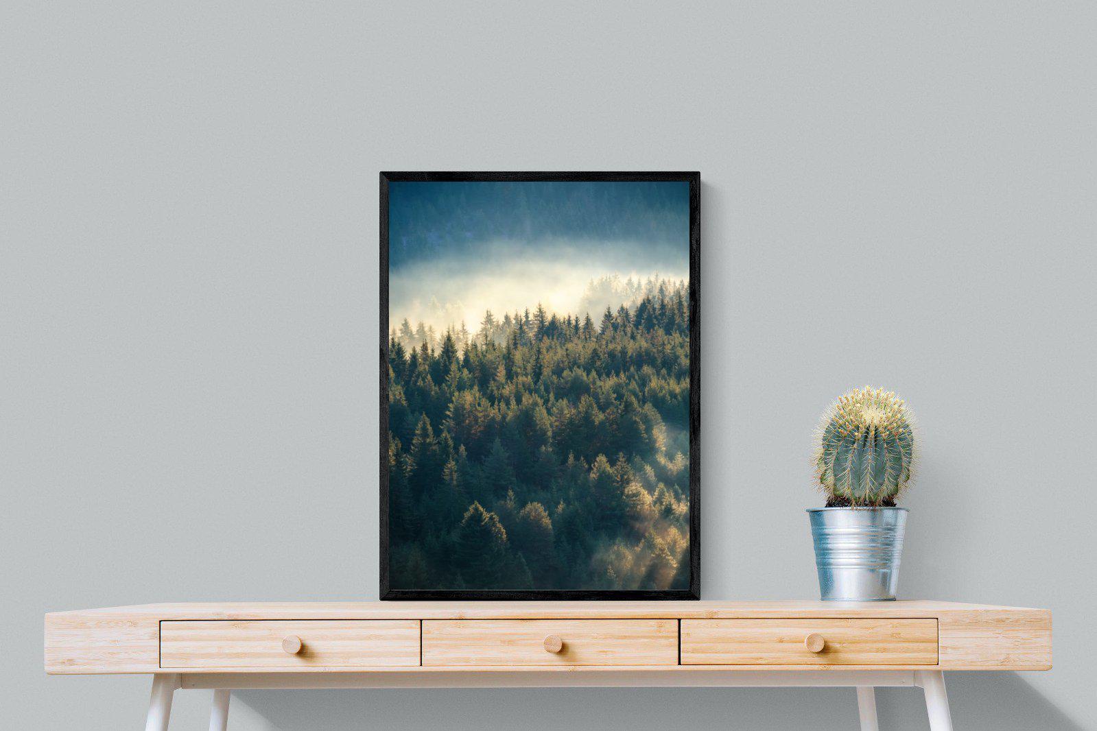 Misty Pine Forest-Wall_Art-60 x 80cm-Mounted Canvas-Black-Pixalot