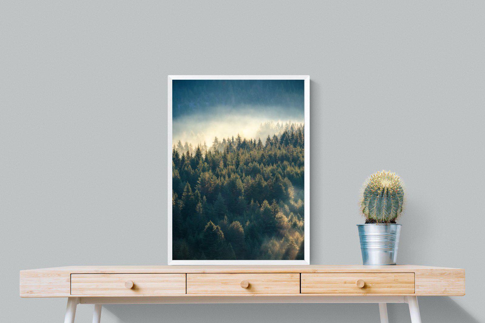 Misty Pine Forest-Wall_Art-60 x 80cm-Mounted Canvas-White-Pixalot