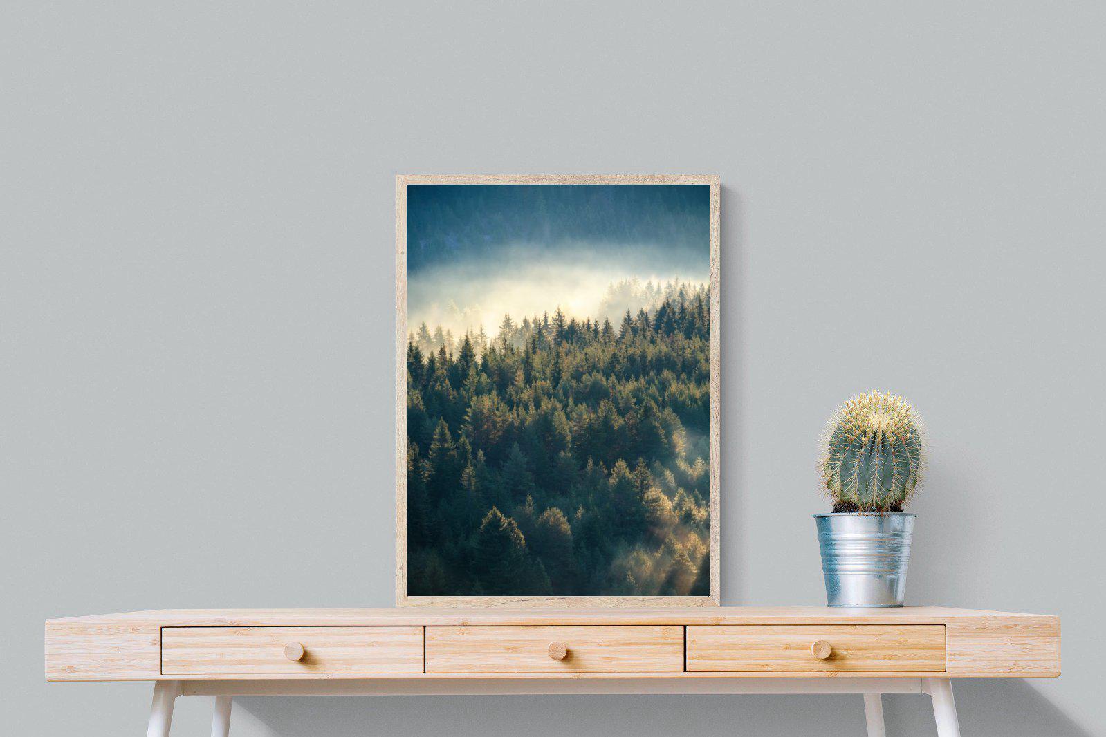 Misty Pine Forest-Wall_Art-60 x 80cm-Mounted Canvas-Wood-Pixalot