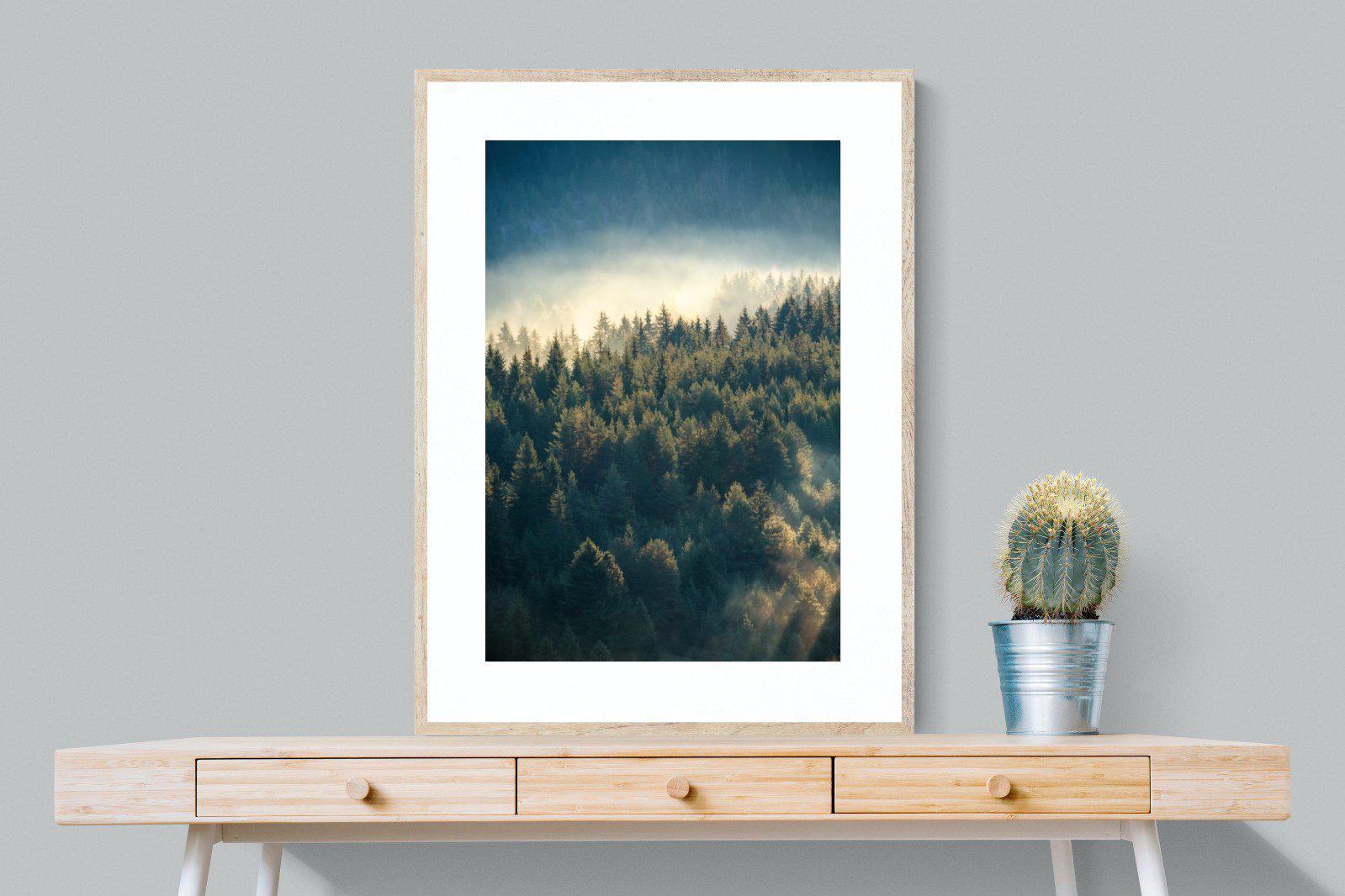 Misty Pine Forest-Wall_Art-75 x 100cm-Framed Print-Wood-Pixalot