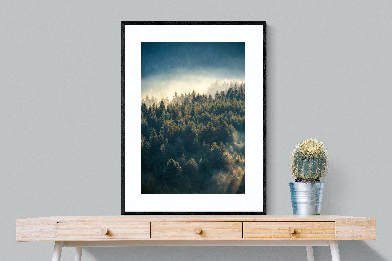Misty Pine Forest-Wall_Art-75 x 100cm-Framed Print-Black-Pixalot