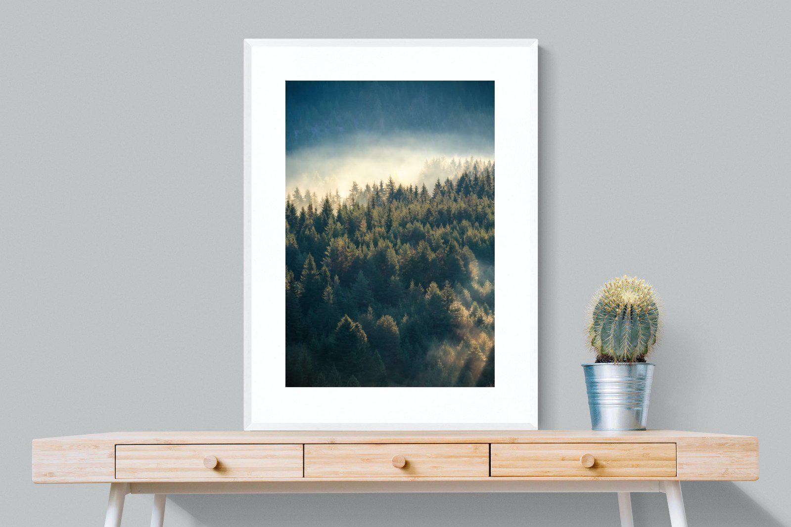 Misty Pine Forest-Wall_Art-75 x 100cm-Framed Print-White-Pixalot