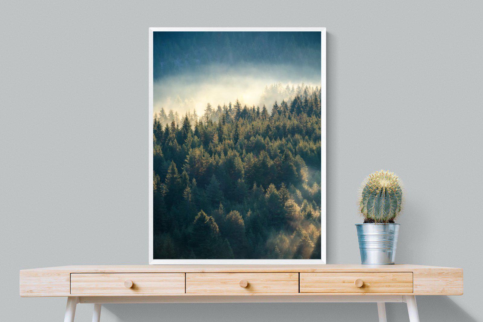 Misty Pine Forest-Wall_Art-75 x 100cm-Mounted Canvas-White-Pixalot