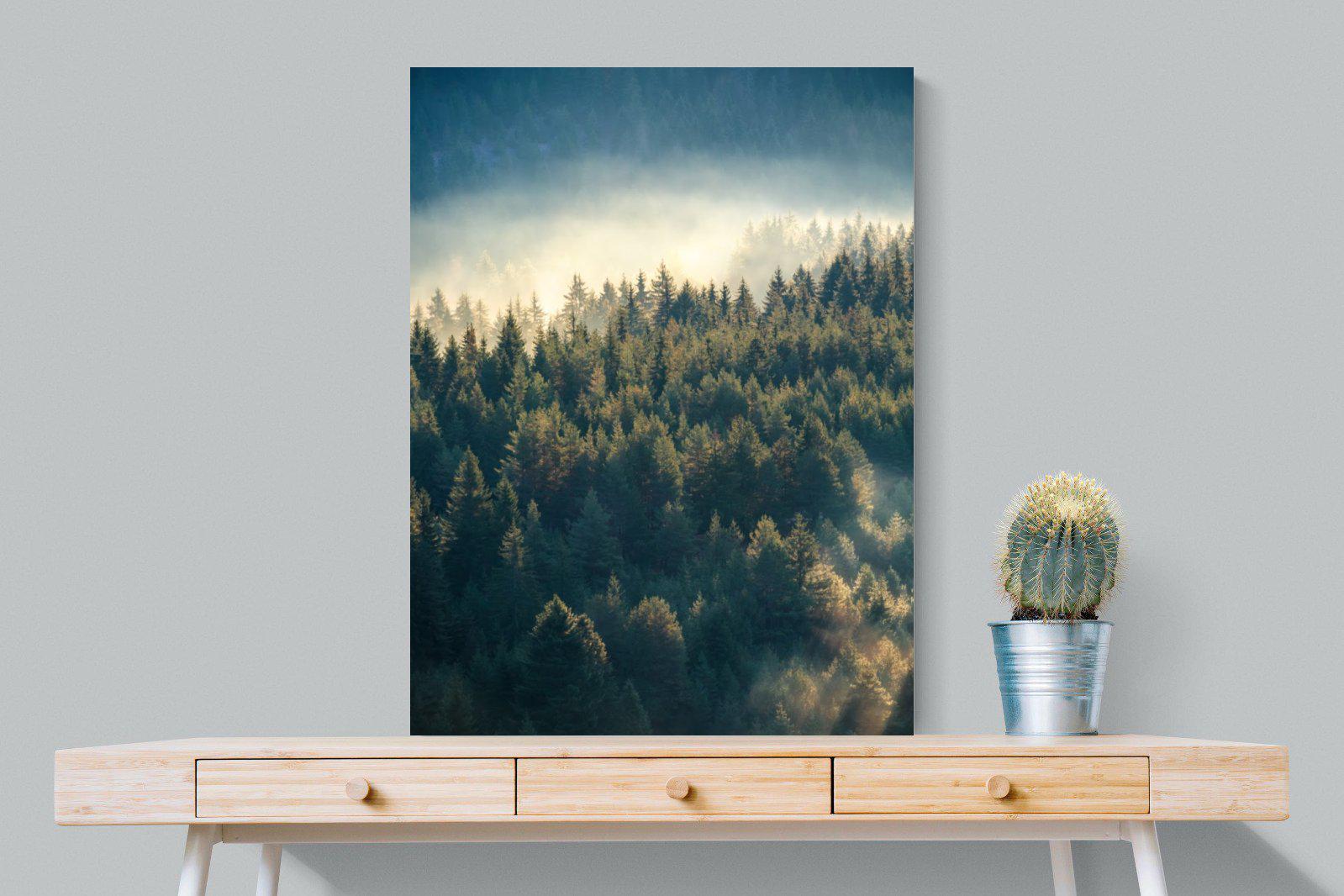 Misty Pine Forest-Wall_Art-75 x 100cm-Mounted Canvas-No Frame-Pixalot