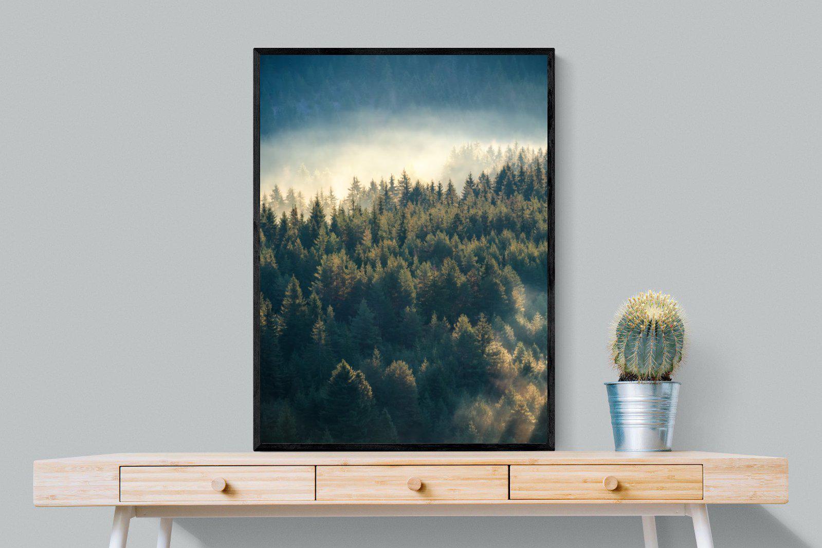 Misty Pine Forest-Wall_Art-75 x 100cm-Mounted Canvas-Black-Pixalot