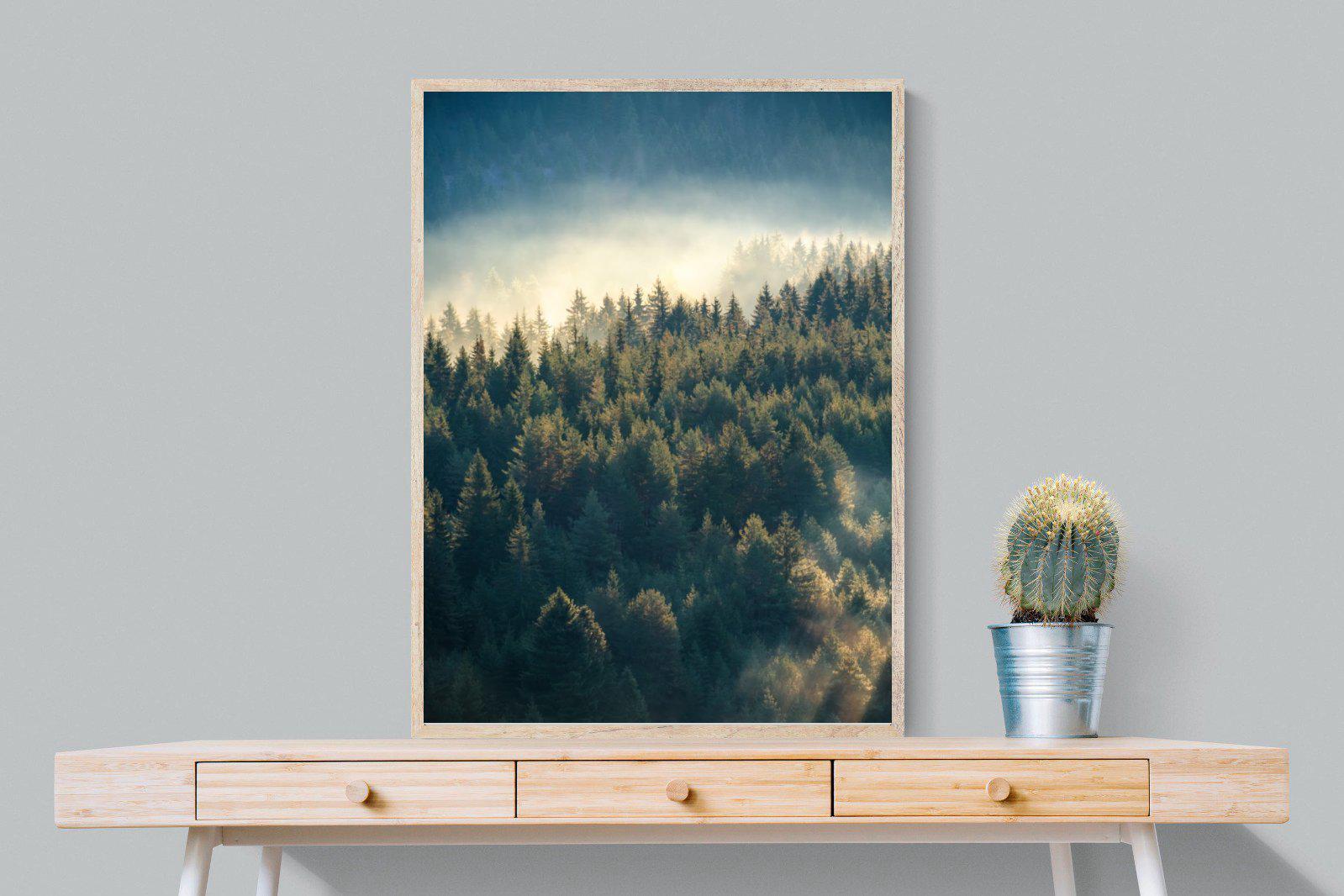 Misty Pine Forest-Wall_Art-75 x 100cm-Mounted Canvas-Wood-Pixalot