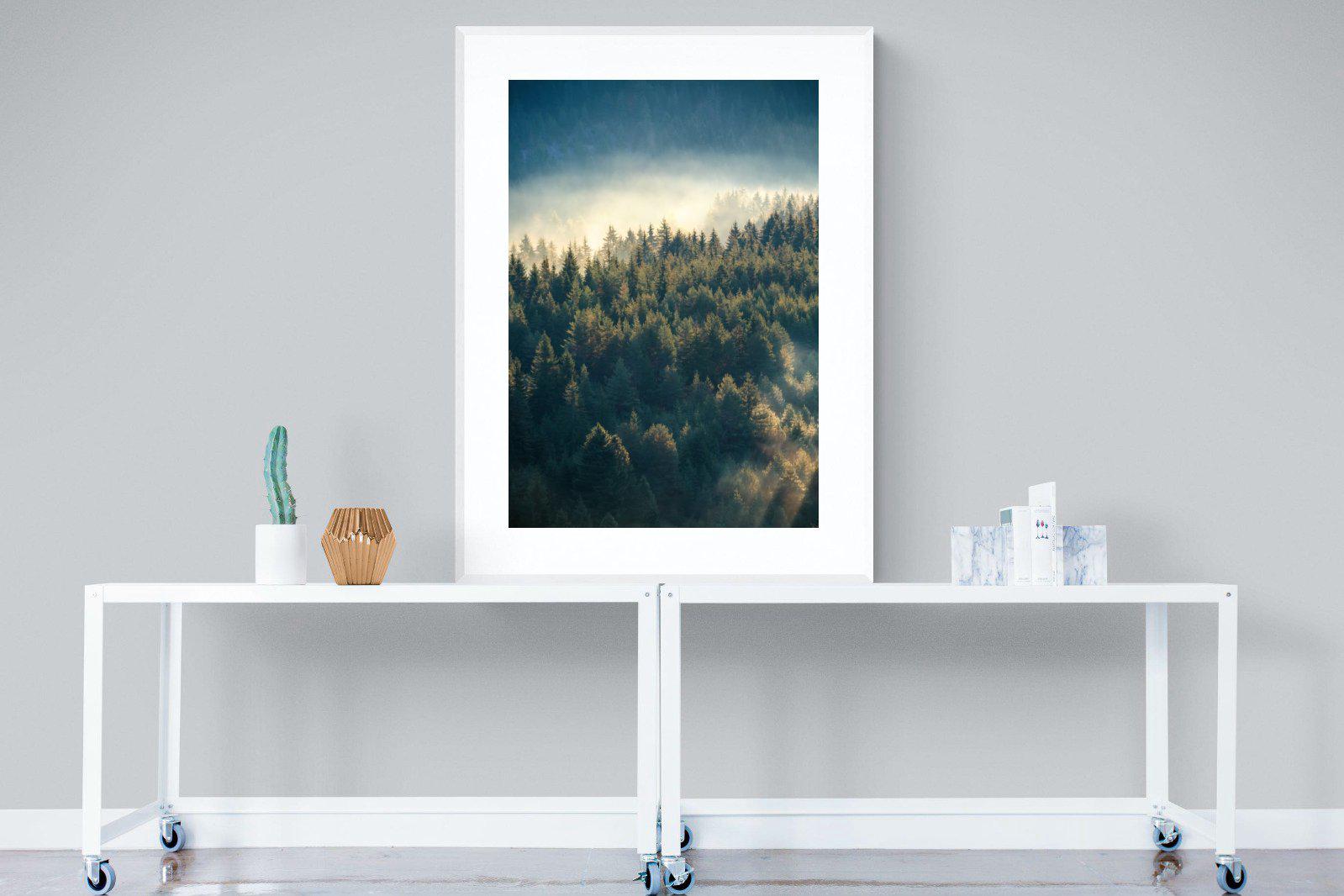 Misty Pine Forest-Wall_Art-90 x 120cm-Framed Print-White-Pixalot