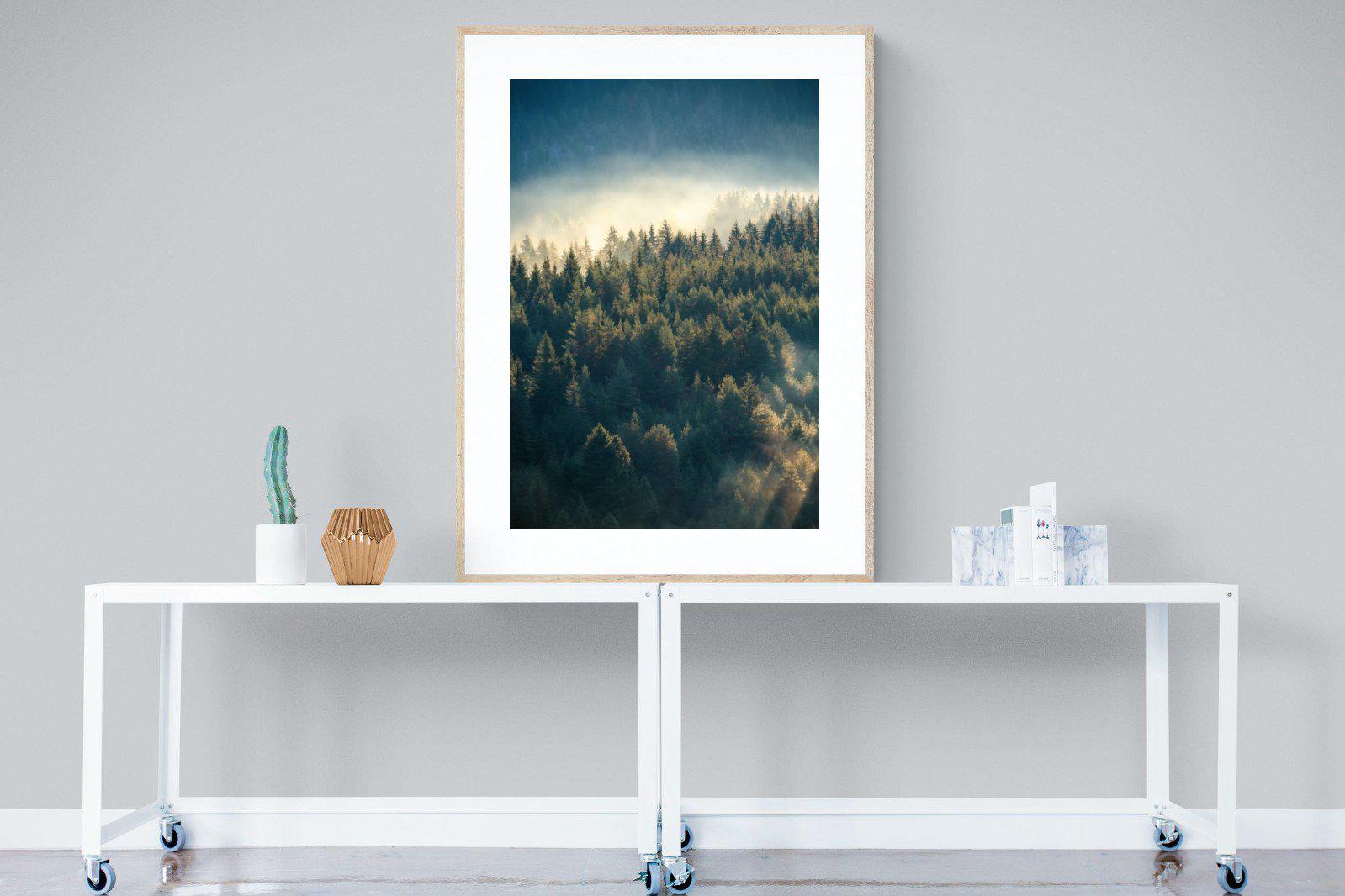 Misty Pine Forest-Wall_Art-90 x 120cm-Framed Print-Wood-Pixalot