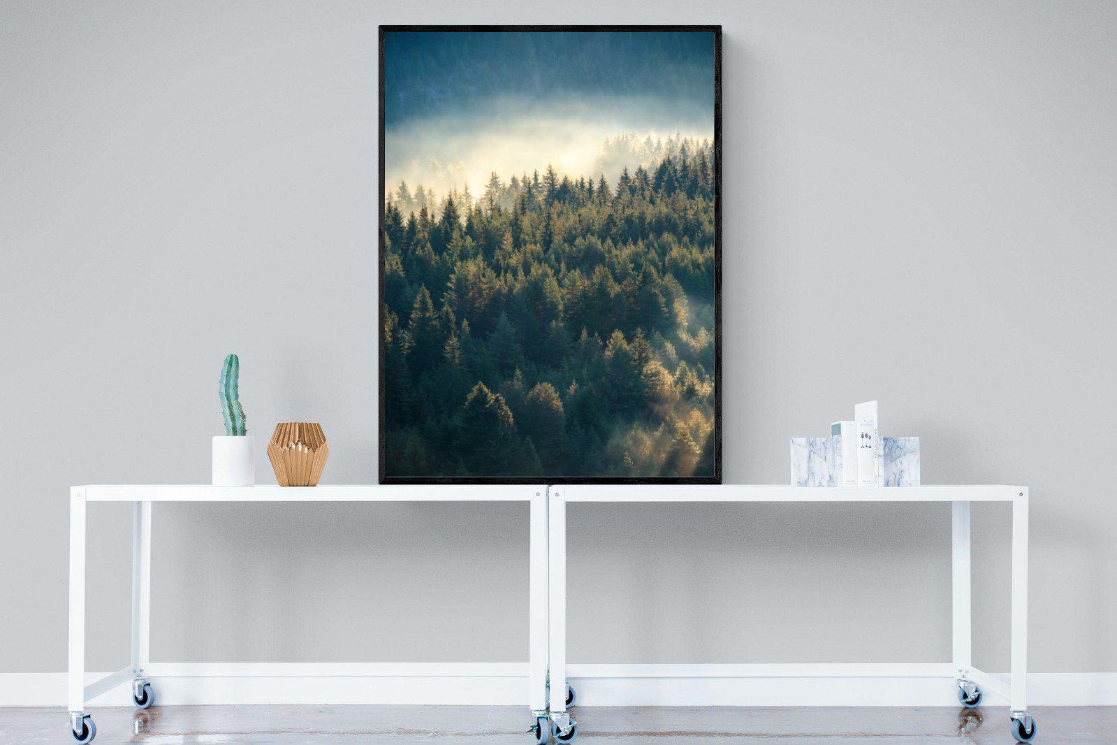 Misty Pine Forest-Wall_Art-90 x 120cm-Mounted Canvas-Black-Pixalot