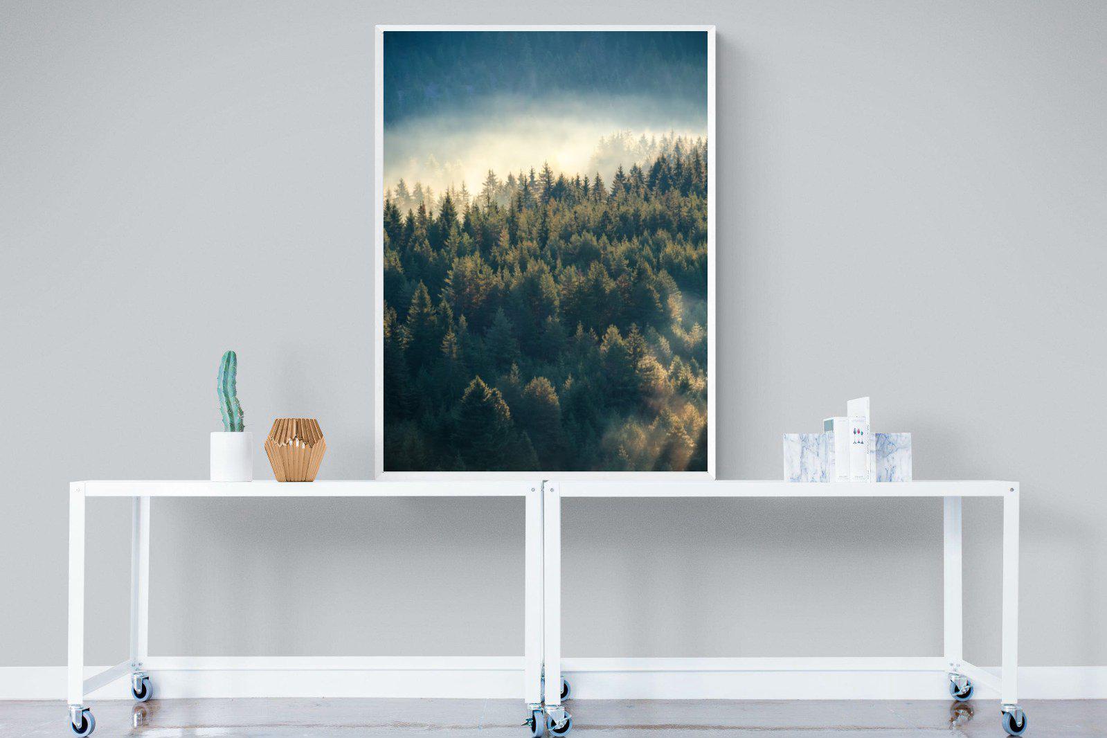 Misty Pine Forest-Wall_Art-90 x 120cm-Mounted Canvas-White-Pixalot