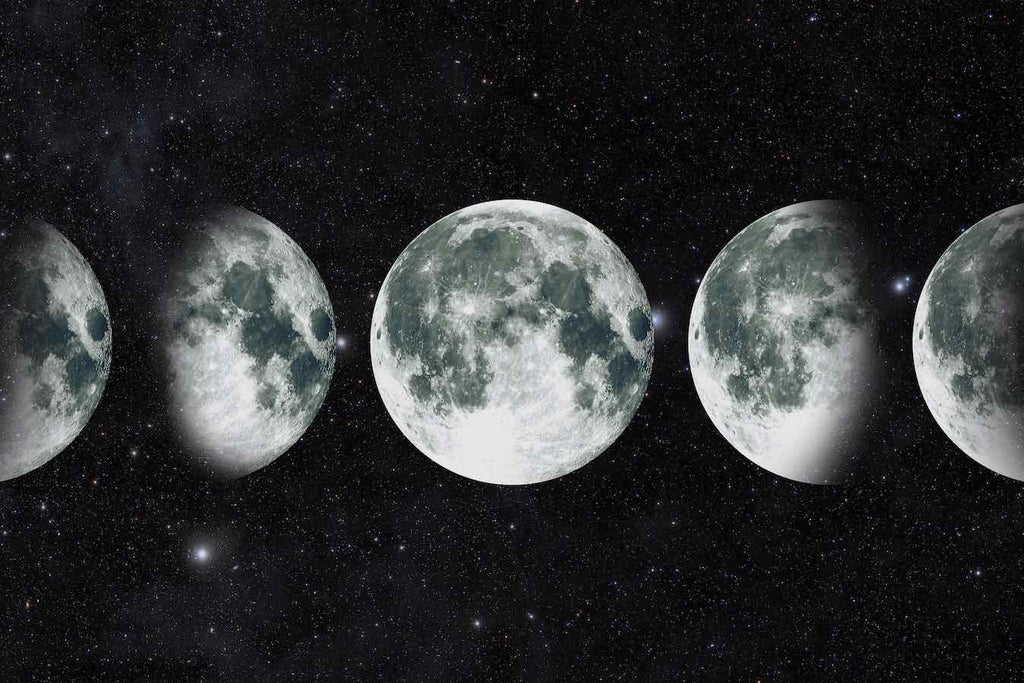 Moon Phases-Wall_Art-Pixalot