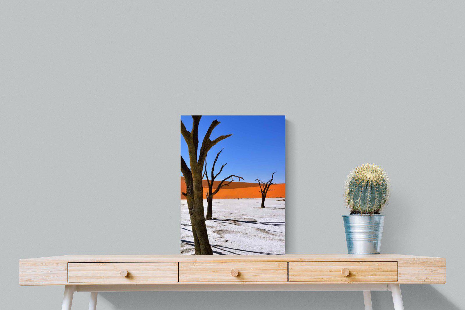 Namib Desert-Wall_Art-45 x 60cm-Mounted Canvas-No Frame-Pixalot