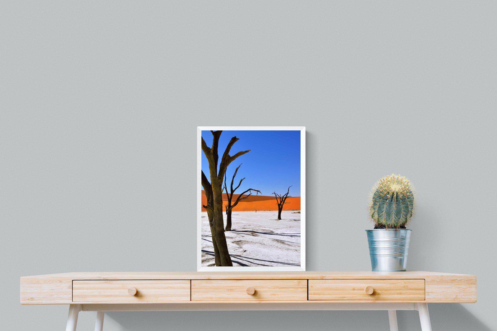 Namib Desert-Wall_Art-45 x 60cm-Mounted Canvas-White-Pixalot