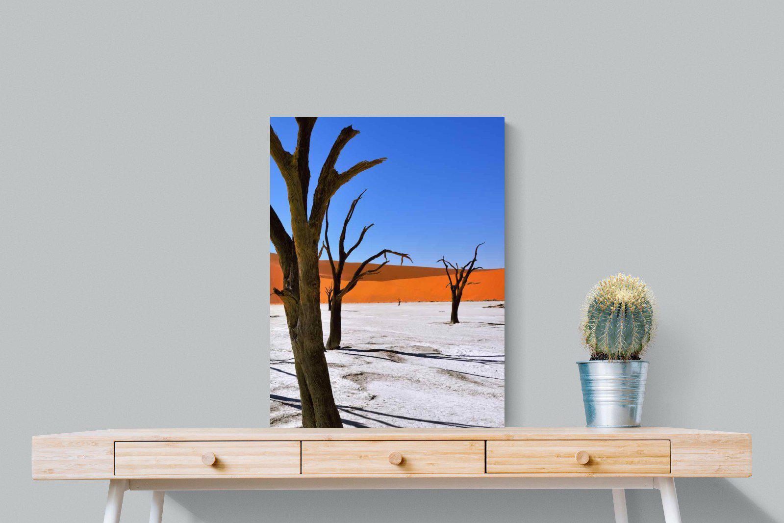 Namib Desert-Wall_Art-60 x 80cm-Mounted Canvas-No Frame-Pixalot