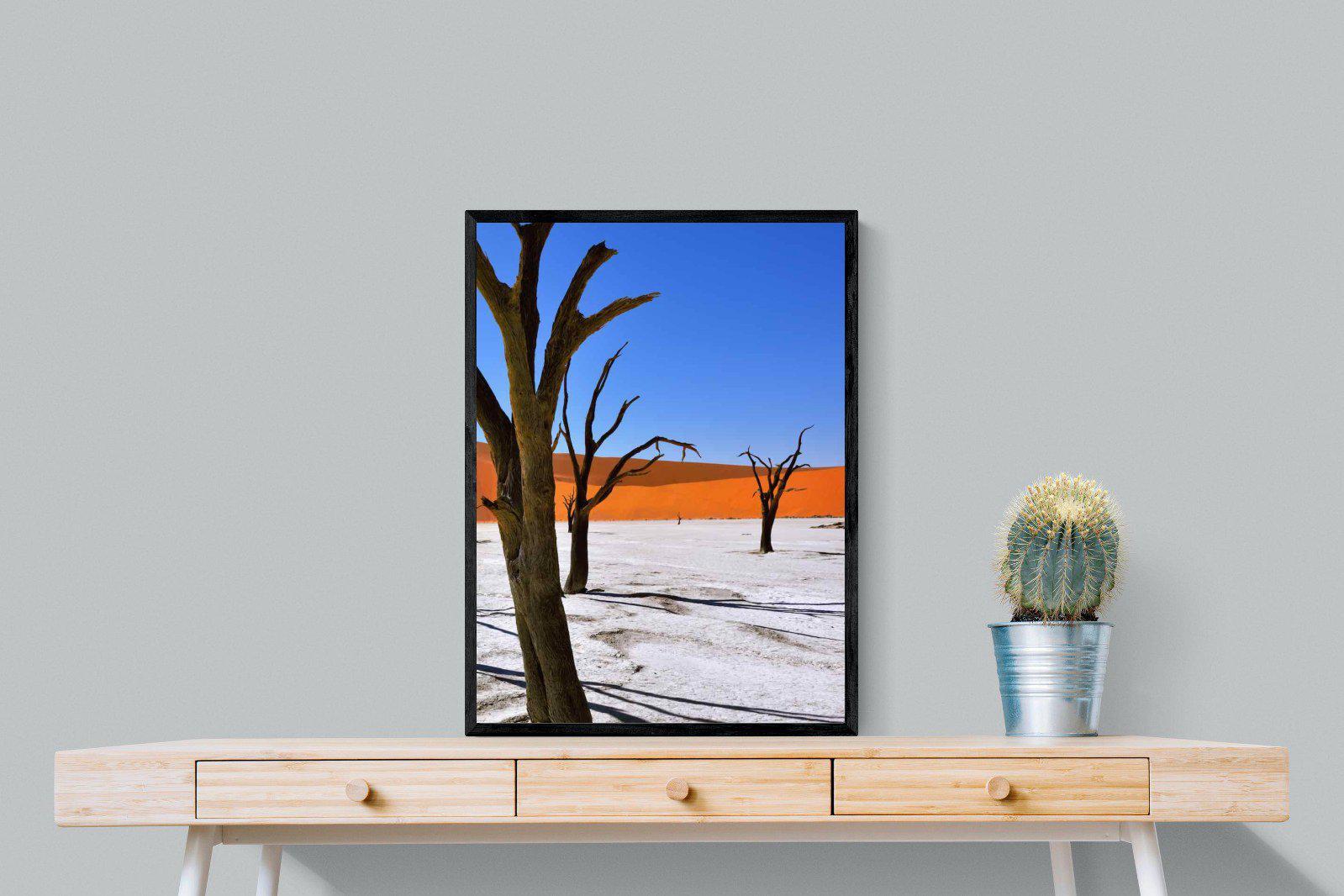 Namib Desert-Wall_Art-60 x 80cm-Mounted Canvas-Black-Pixalot