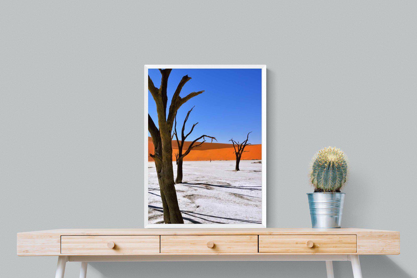 Namib Desert-Wall_Art-60 x 80cm-Mounted Canvas-White-Pixalot